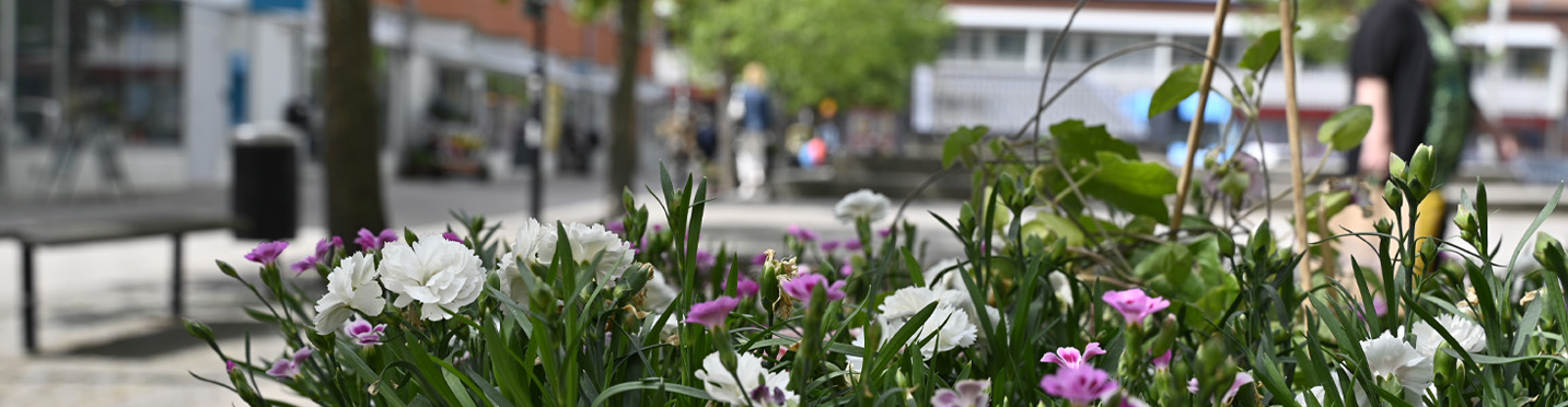 Trångsundstorget
